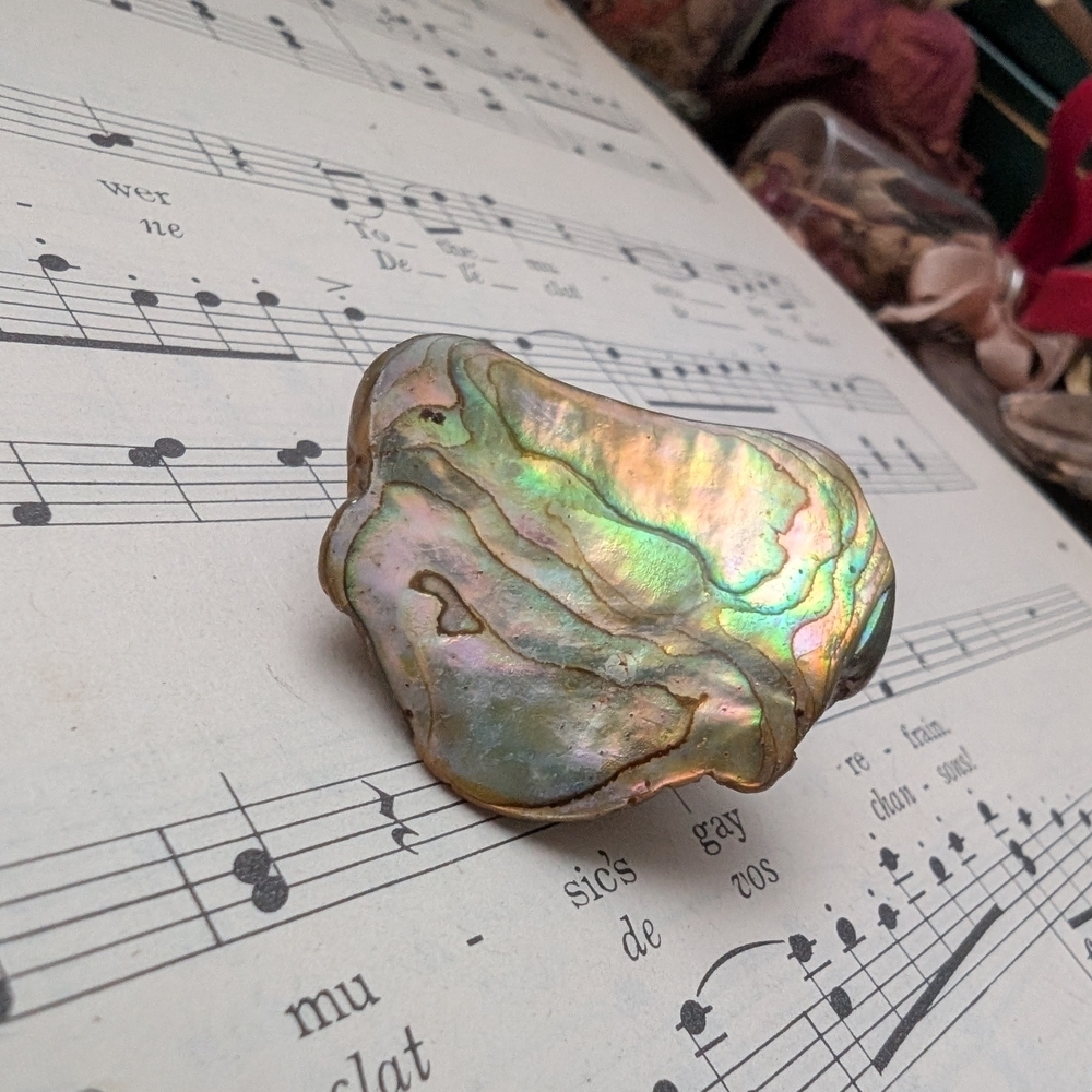 Iridescent Abalone Shell Brooch - Picture 10 of 11